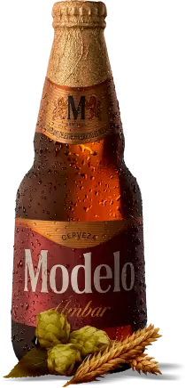 Cerveza En botella Modelo Ambar