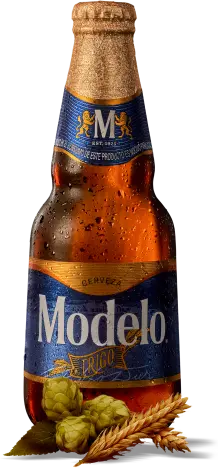 Cerveza En botella Modelo Trigo