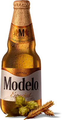 Cerveza En botella Modelo Especial